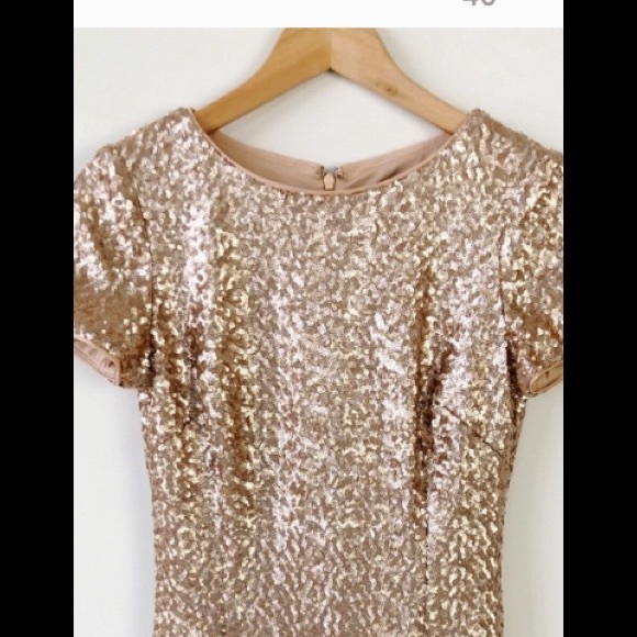 !Aidan Mattox champagne sequin sheath with fringe - Picture 4 of 8